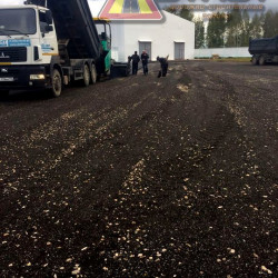 Image Caption