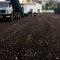 Image Caption